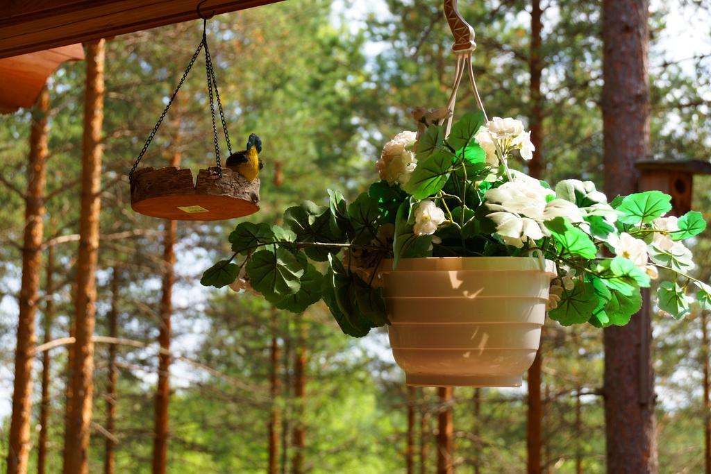 Kettu Holl Cottage Taipalsaari Kültér fotó