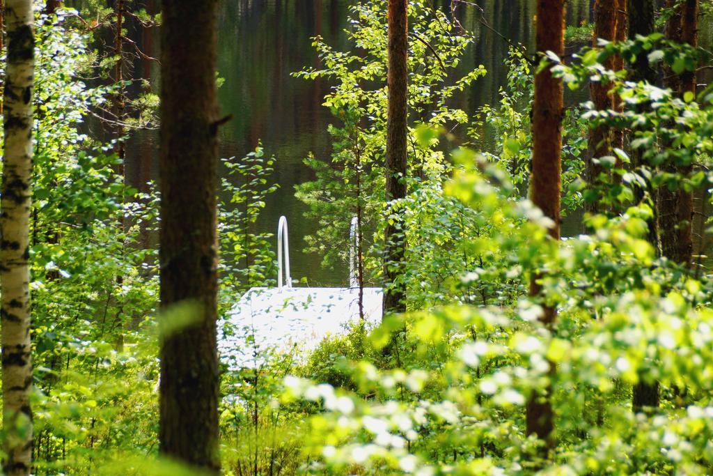 Kettu Holl Cottage Taipalsaari Kültér fotó