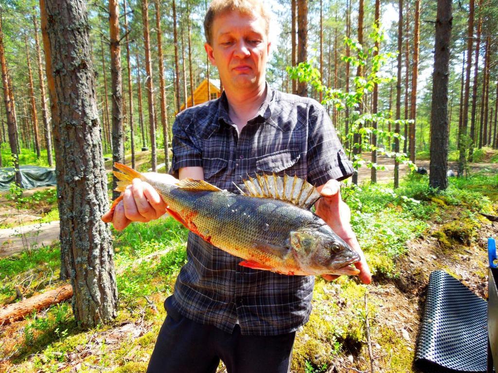 Kettu Holl Cottage Taipalsaari Kültér fotó