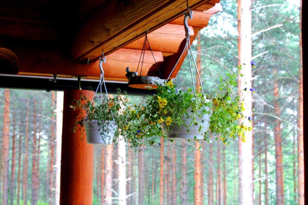 Kettu Holl Cottage Taipalsaari Kültér fotó